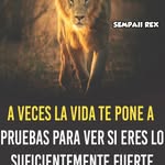Mario Hernadez - @mario.hernadez.7583a - Instagram