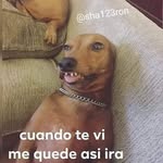 Mario Hernadez - @mariohdzbta - Instagram