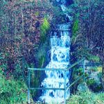 Mario Hoffmann - @hoffmann_mario_ - Instagram