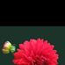 Mario hoffmann - Facebook