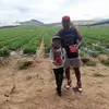 marioholley285 - @marioholley285 - TikTok