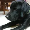 Mazahar - @marion.hurst - TikTok
