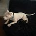 Mario Jamison - Facebook