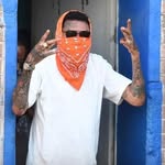 #1§TAMPBØ§§ 🇯🇲 - @mariokinglaw - Instagram