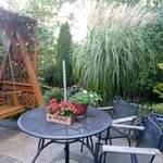 Mariola Cyrankowska - @mariolacyrankowska - Instagram