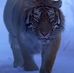 Mario Lares - Facebook
