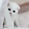 mariolarsen830 - @mariolarsen830 - TikTok