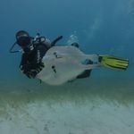 Mario Llamas - @mariollamas81 - Instagram