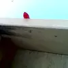 mariolujano10 - @mariolujano10 - TikTok