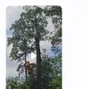 Mario Mancia - @mario.mancia83 - TikTok