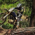 Mario Mancia - @mario.mancia.01 - Instagram