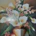 Mario Mancia - Facebook