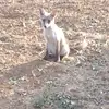 Mario Mancuso - @mario.mancuso35 - TikTok