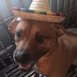 Mario Manes Jr - @mario.manesjr18 - Instagram