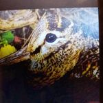 Mario Marchetti - @mario.marchetti.73744 - Instagram