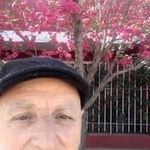 Mario Marchetti - @mario.marchetti.3576 - Instagram