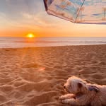 Mario marconi - @mario_marconi_m - Instagram