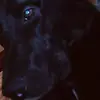 Mario Marotta - @mariomarotta3 - TikTok