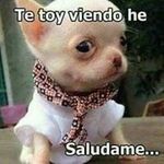 Mario Mazariegos - @mario.mazariegos.9889 - Instagram