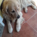 Mario Mazzetti - @mario.mazzetti - Instagram