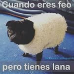 mario mendiola - @mar14bell - Instagram