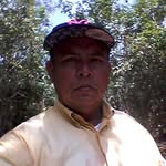 Mario Mendonça - @mario.mendonca.98284566 - Instagram
