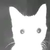 The goofy goober - @mario.meraz19 - TikTok