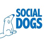 MVZ. MECBA. Dipl. Mario A. Martinez Mier - @socialdogsmx - Instagram