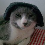 Mario Miles🐱 - @mario_miles9 - Instagram