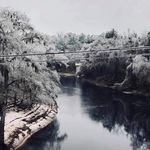 mario miles mikula - @mariomilesmikula - Instagram