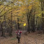 Mario Miroslavov - @mariomiroslavov_ - Instagram