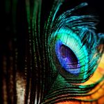 Mohan Mohan - @mario_mohan_ - Instagram