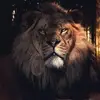 mariomoron935 - @mariomoron935 - TikTok