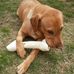 Mario Mosconi - Facebook