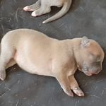 Mario Mosley - @mariomosley2 - Instagram