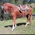 Mario Huillca Muya - Facebook