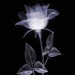 Mariola Ewa - @mariola.napieralska68 - Instagram