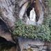 Mario Nardini - Facebook