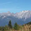 Mario Zanardini - @mariozanardini - TikTok