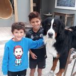 marionicasio - @marionicasio7 - Instagram