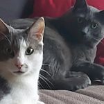 Marion Orthwein - @marion_orthwein - Instagram
