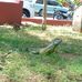 Mario Obregon - Facebook