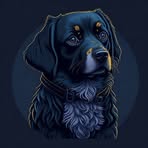 Mario O'Connor - Facebook