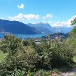 Mario Oldani - @oldani722 - Instagram