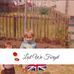 Marion O'Neil - Facebook