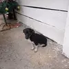 Mario Oquendo - @mario.oquendo87 - TikTok