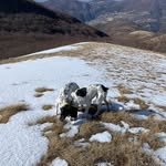 Mario Orsi - @orsi2554 - Instagram