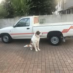 Mario orsi - @orsi6273 - Instagram