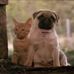 Mario Otis - Facebook