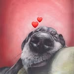 Mario Patella - @mario.patella - Instagram